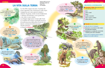 Stile illustrazione scolastica