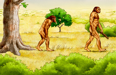 Stile illustrazione scolastica
