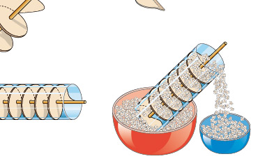 Illustrazioni scienze geografia