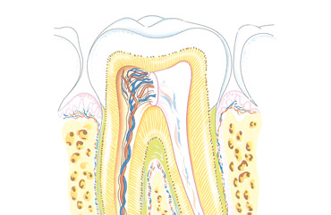 Illustrazioni scienze geografia