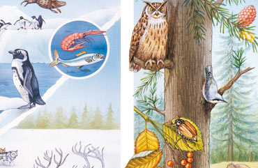 Illustrazioni di scienze e geografia