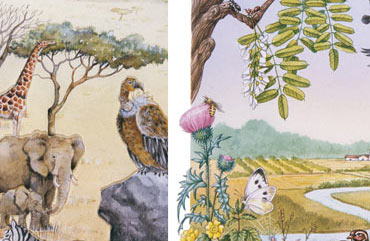 Illustrazioni di scienze e geografia