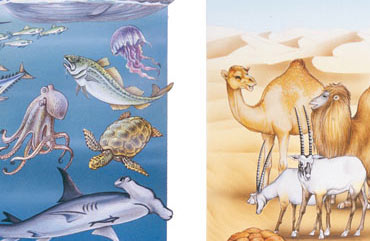 Illustrazioni di scienze e geografia